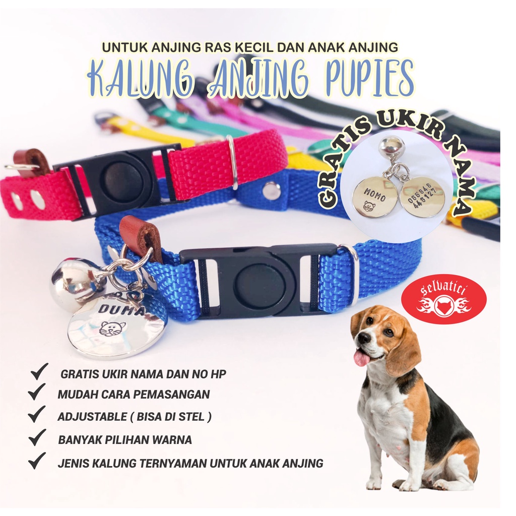 KALUNG ANJING PUPIES dan RAS KECIL MODEL BUCKLE CLIP BISA UNTUK KUCING dewasa - GRATIS CUSTOM LIONTIN NAMA