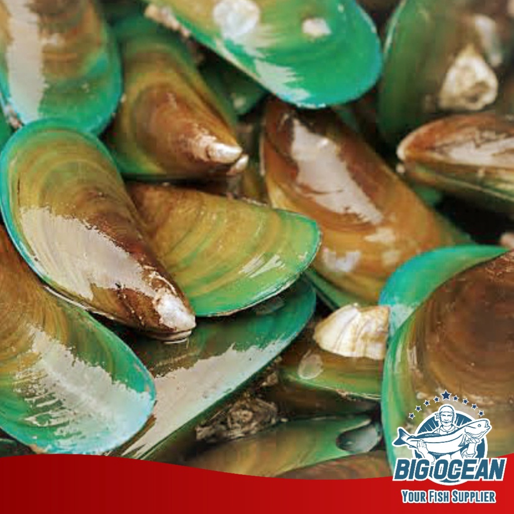 

Kerang Ijo | Green mussel Frozen @500gr