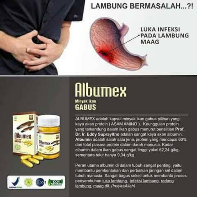 Kapsul Minyak Ikan Gabus Olimex Indonesia