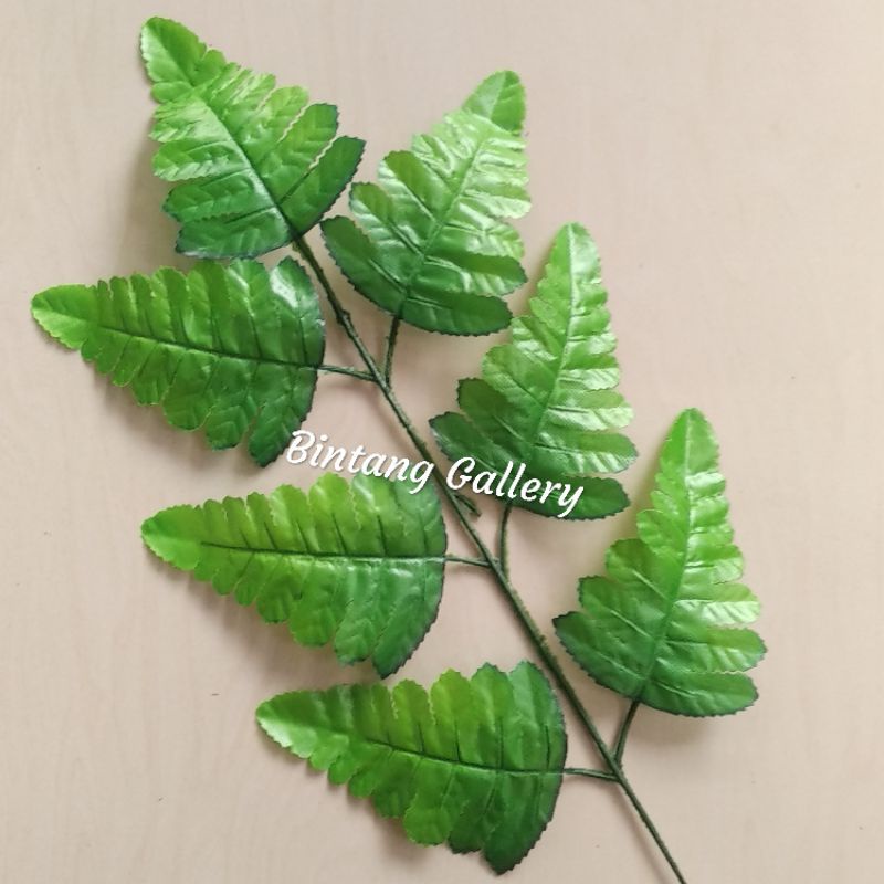 Daun Pakis &amp; Daun Monstera 7 Daun / Daun pakis kain