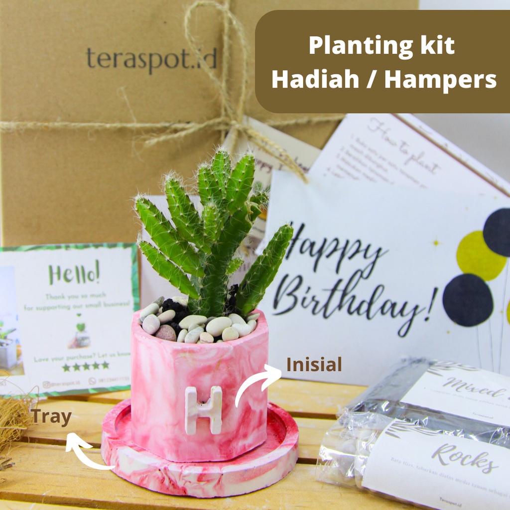 Planting kit Kaktus Sukulen - Paket Menanam Kaktus Lengkap - Hadiah / Kado Birthday - Wisuda / Gradu