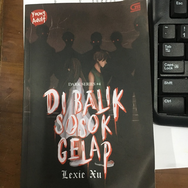 Novel Di Balik Sosok Gelap Lexie Xu