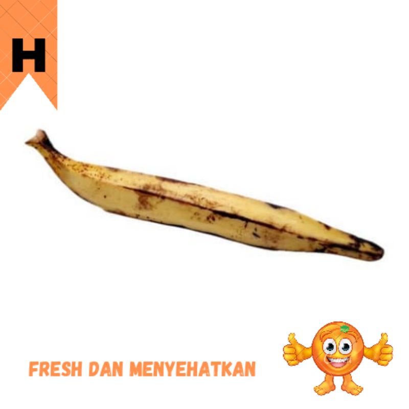 

BUAH PISANG TANDUK