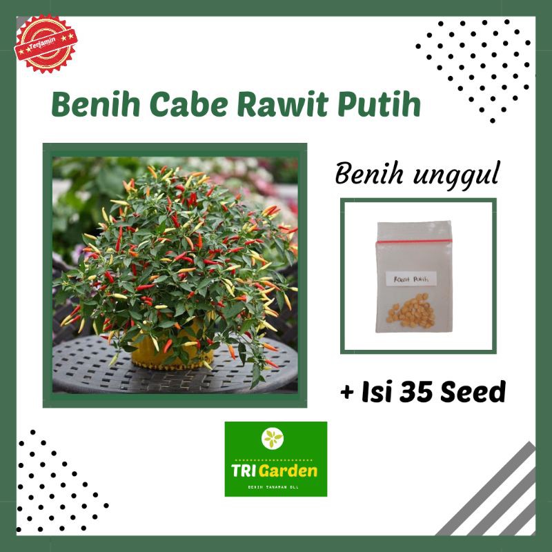 Benih Cabe Rawit Putih Merunduk KRESNA Benih Cabe