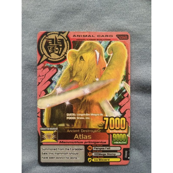 Cards Atlas Animal Kaiser