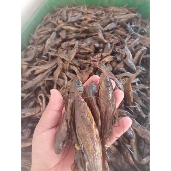 

ikan asap berengit(ikan salai sungai)