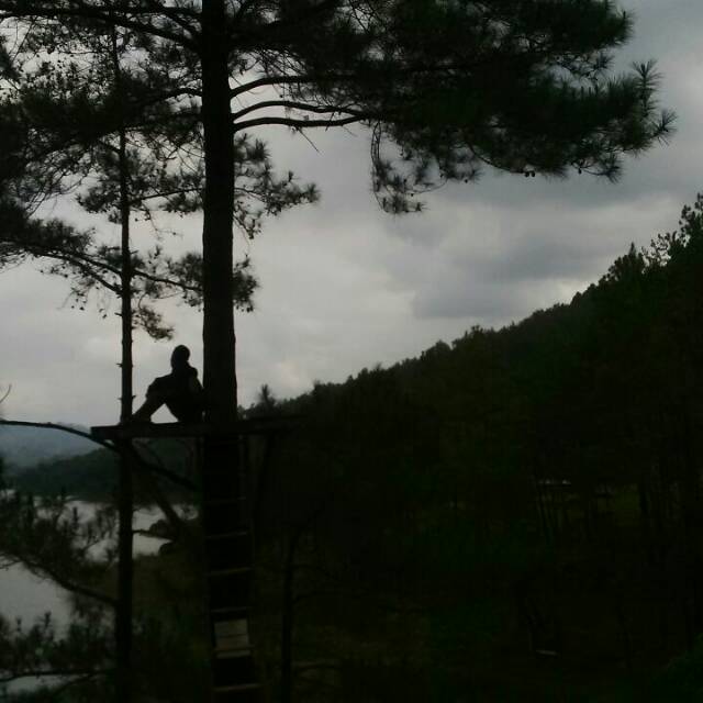 irvan_81