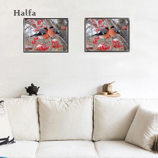 Hl Diy Lukisan Diamond 5d Dengan Gambar Burung Bergaya Modern