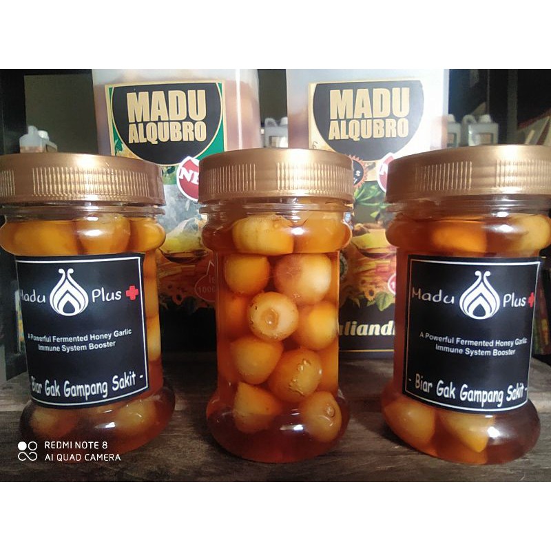 

Madu , kombinasi Rendaman Bawang Putih Tunggal dalam Rendaman Madu Asli