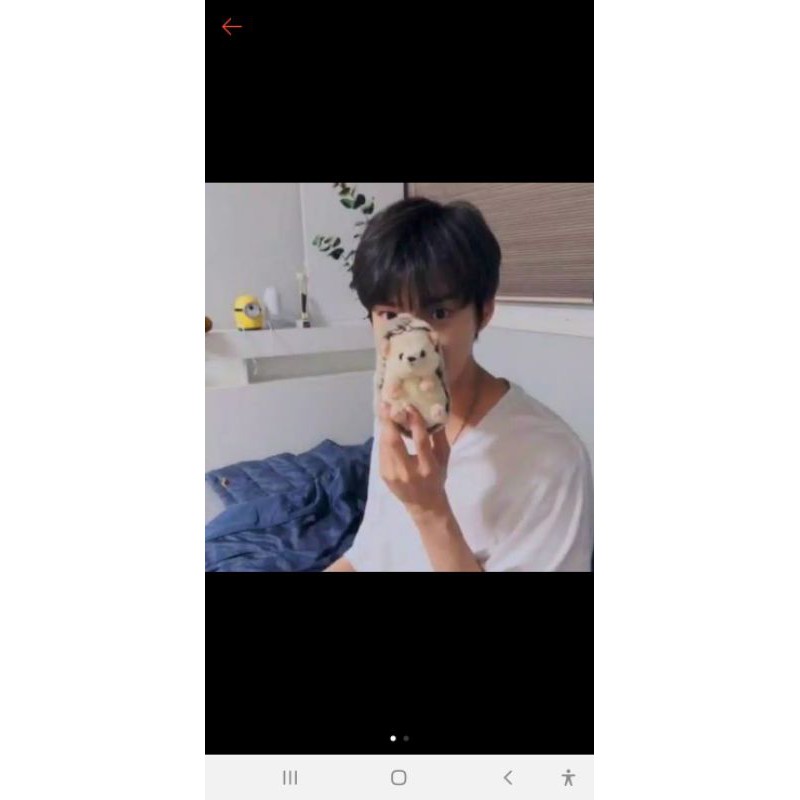 SALE  SUNLEMON HEDGEHOG / BONEKA LANDAK SUNLEMON / BONEKA KPOP NCT DOYOUNG DOCHI