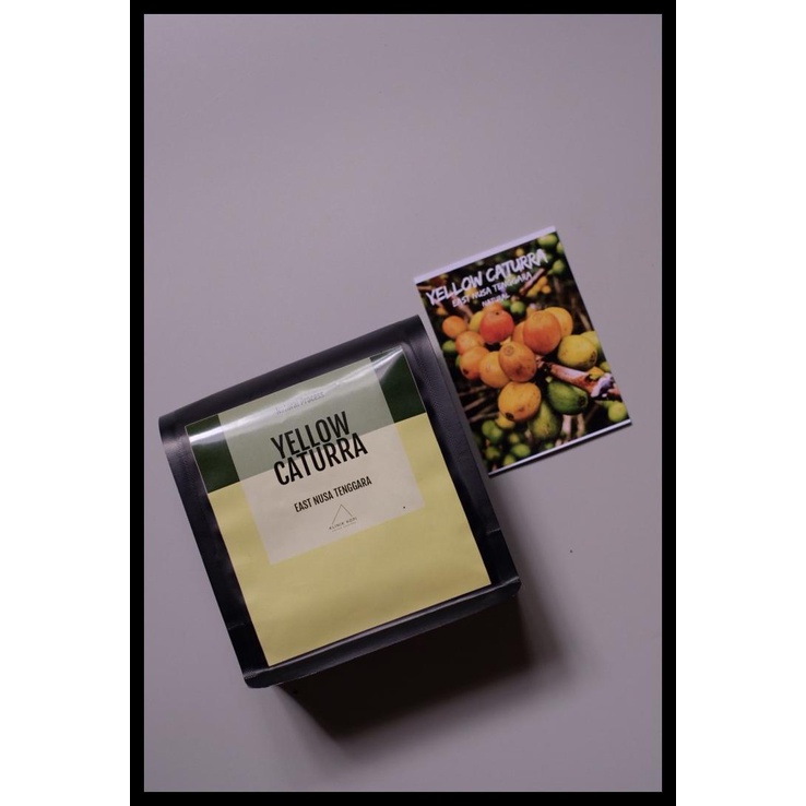 

DISKON TERBATAS !!! ARABICA YELLOW CATURRA FLORES 250 GRAM TERLARIS