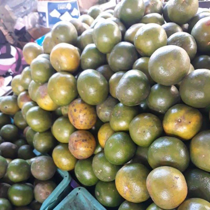 

Jeruk Ujung gading aantar alamat