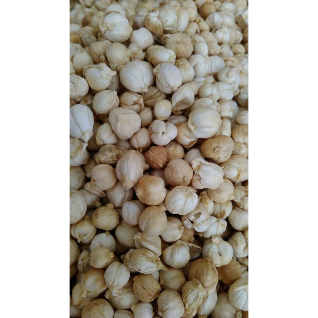 

kapulaga 50gram / cardamon white / kapol / Kapolaga