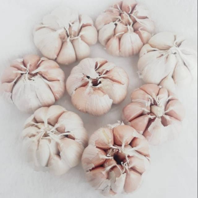 

Bawang Putih 1kg