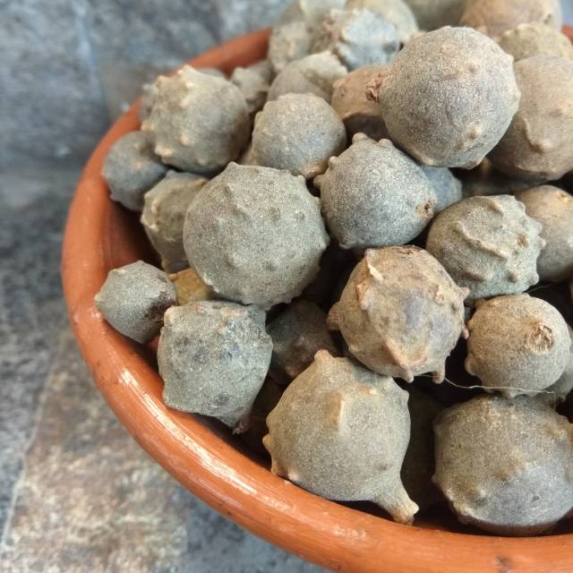 Manjakani Super/ Buah Manjakani 100g