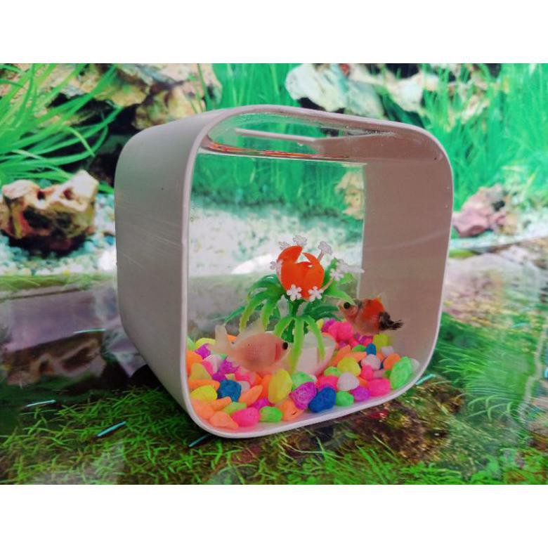 Ready Aquarium Mini Unik Ikan Cupang Hias Kura Kura