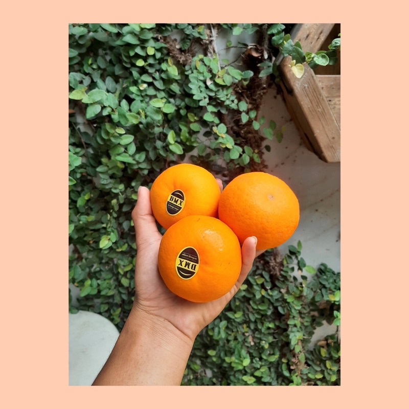 

Jeruk wokam / jeruk wokam manis / fresh sweet orange