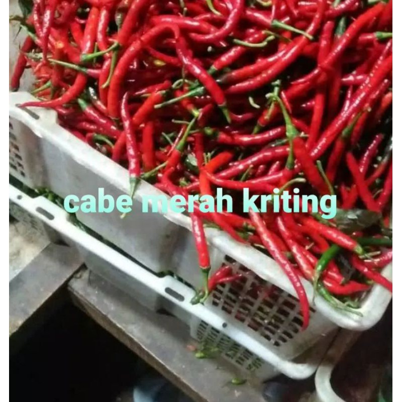 

CABE MERAH/500gram