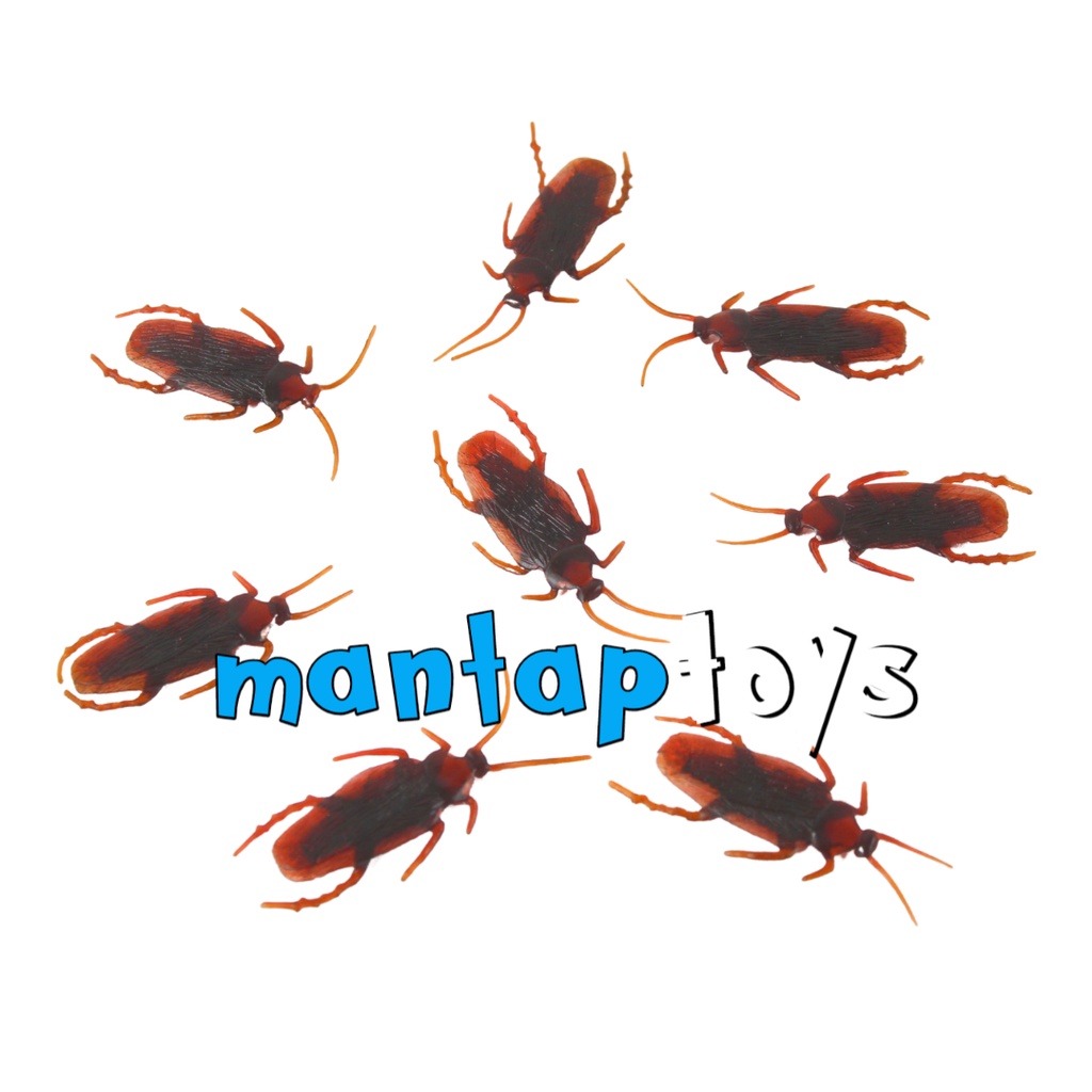 MANTAPTOYS MAINAN ANAK KECOA KECOAAN PRANK MAINAN KECOA KARET HEWAN ANIMAL