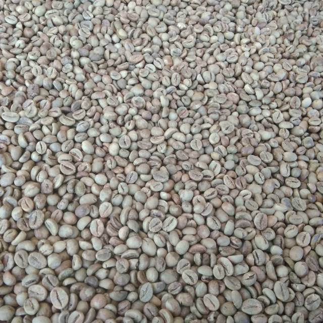 

Biji Mentah Robusta Dampit A