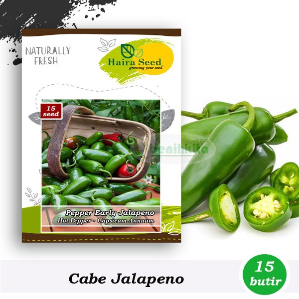 

Benih-Bibit Cabe Jalapeno Early - Haira Seed