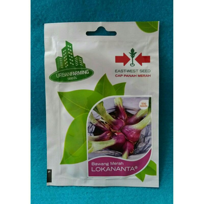 ISI 500 BAWANG MERAH LOKANANTA