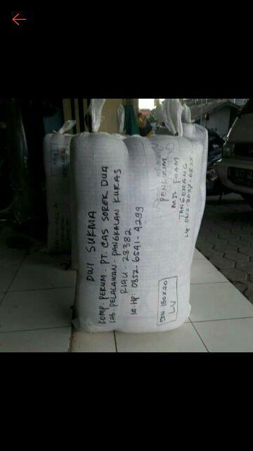 Kasur Inoac 180x200x20 Eon Lg D23
