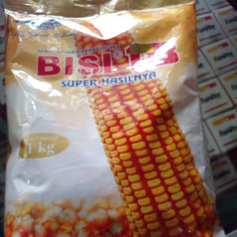 benih jagung hibrida super BISI 18