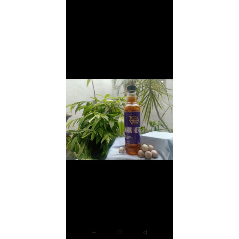 

madu bawang putih
