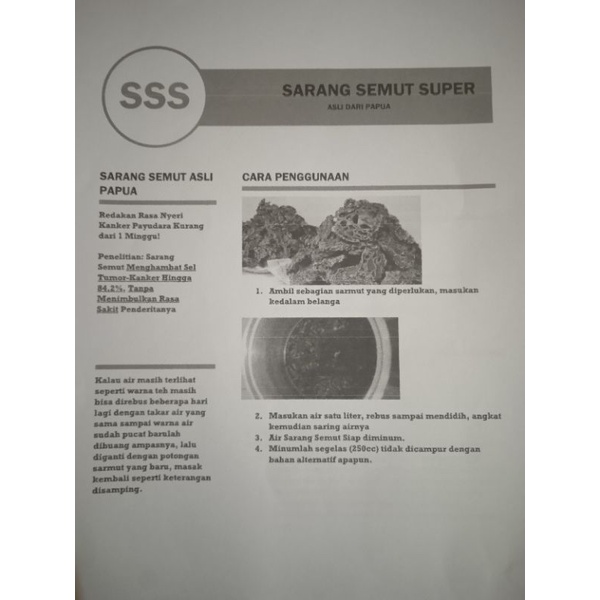 Sarang Semut Super Papua