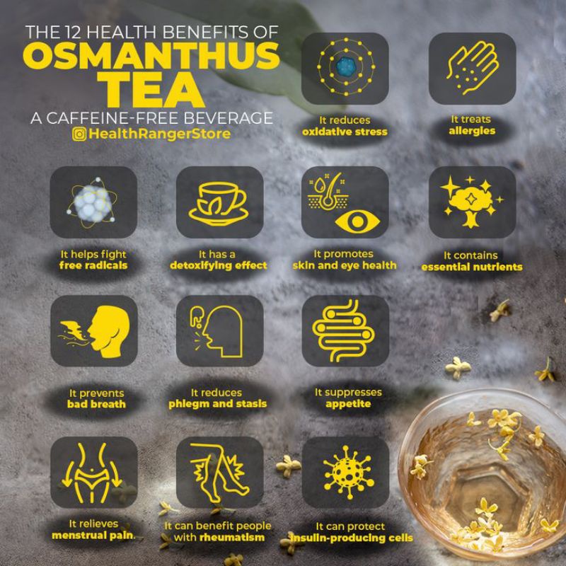 Osmanthus Oolong Green Tea : Teh Bunga Osmanthus &amp; Oolong Green Tea - 30 Tea Bag