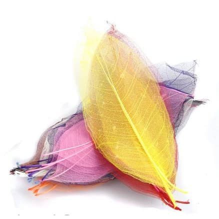 Colorful Dry Leaf Skeleton - Kerangka Daun Kering 4-6cm (10pcs)