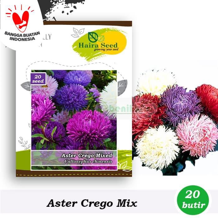 Benih-Bibit Bunga Aster Crego Mix (Haira Seed)