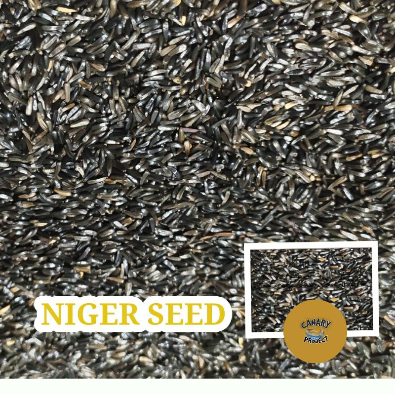 RAEDY NIGER SEED BIJI NIGER (BIJIAN BURUNG FINCH KENARI DLL)