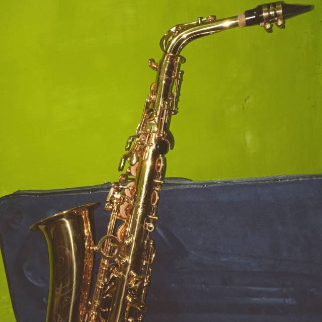 Alto Saxophone Walker Gold Fullset Include Hardcase