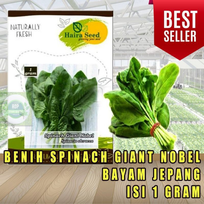 Benih Bayam Jepang Spinach