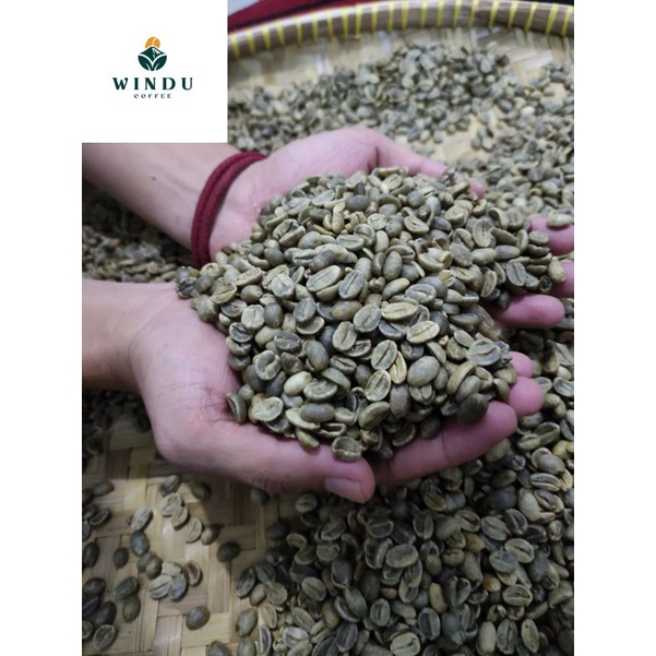 

Greanbean Arabika asalan Kuningan