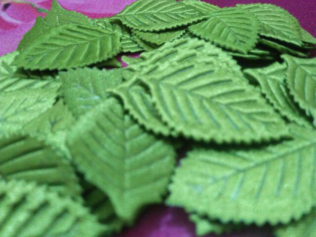 [bayar Di Tempat] Aplikasi Daun Tanpa Tangkai / Bahan Mahar Ringbox / Daun Beludru