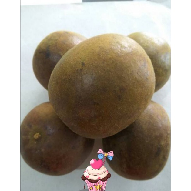 

Buah Lo Han Kuo Super Besar