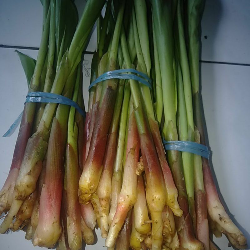 

Sayur Boros segar seikat