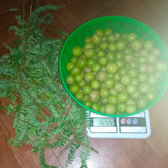 

Buah malaka buah kemloko buah amla buah kalimoko buah balakka segar 1kg