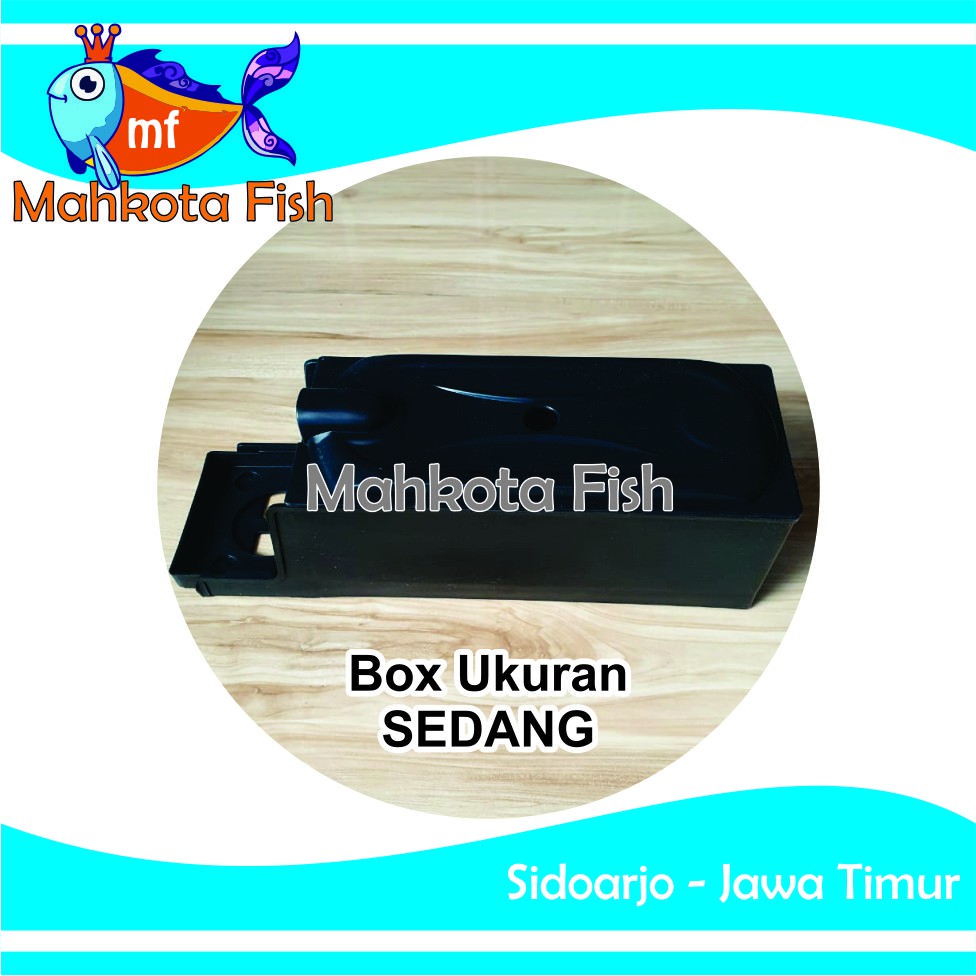 Box Filter SEDANG | Box Kosong SEDANG Filter Aquarium