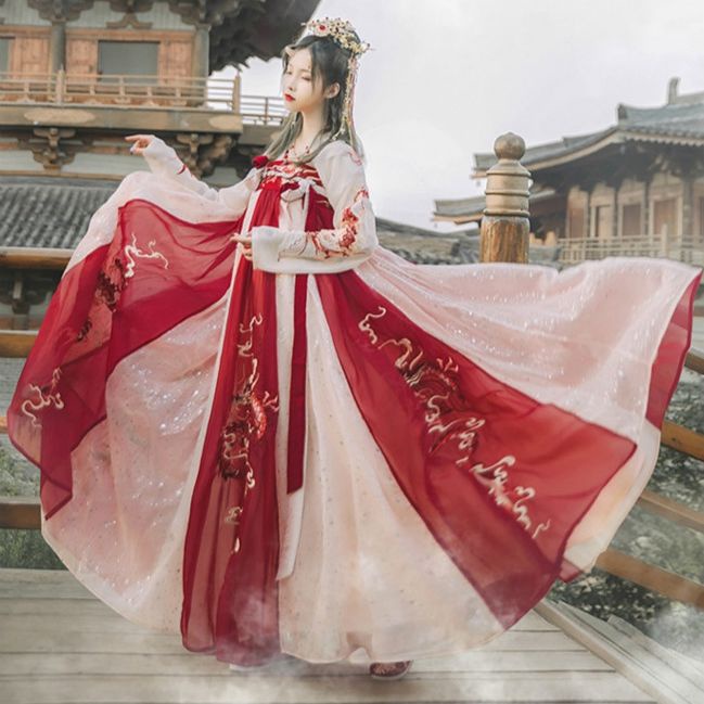 Hanfu female student ancient costume domineering long-sleeved style over fairy dress Chinese style d