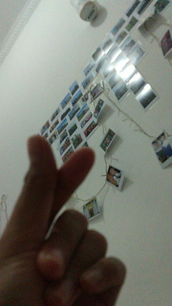 Hanger Suling Tembok Belalai 12 Titik Warna Ungu (free Paku)