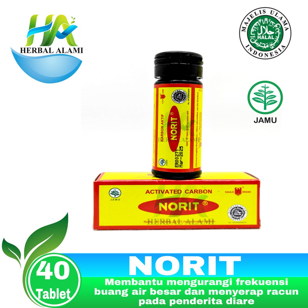 NORIT Cap Lang Karbon Aktif - Obat Diare Perut Kembung