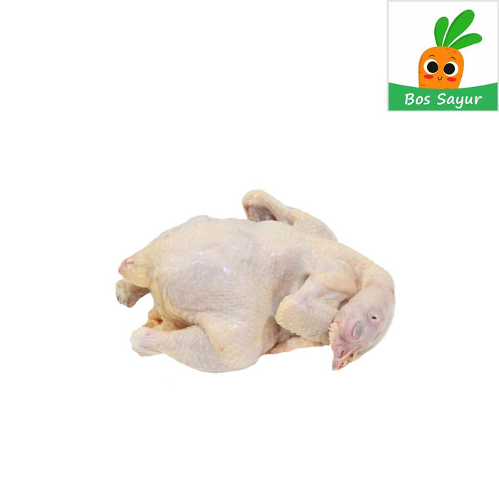 

Ayam negeri Per Ekor - Bos Sayur