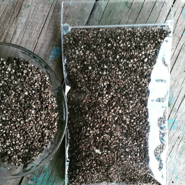 

Coarse ground black pepper / lada hitam giling kasar not ketan beras sagu jagung