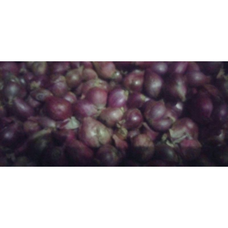 

bawang merah 500 gram dan 1 kg