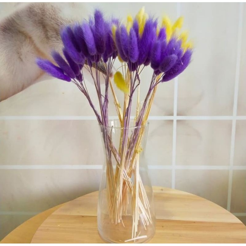 Vas Bunga Kaca Tinggi 20 cm