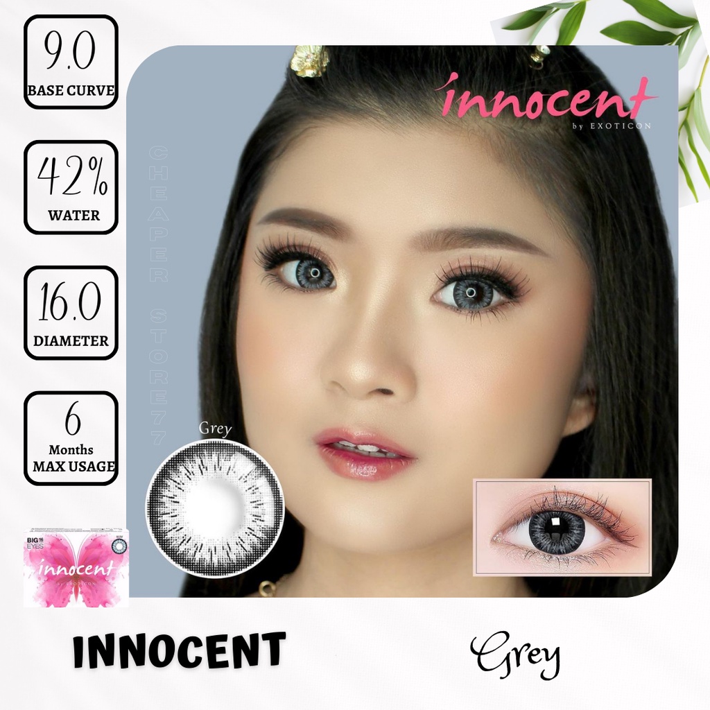 SOFTLENS X2 INNOCENT MINUS ( - 3.00 sd - 6.00 ) DIA. 16.00 mm | BEST SELLER | BIG EYES